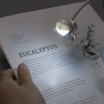 LED-lampa som belyser ett eucalyptusblad på ett dokument.