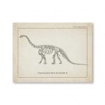 Skelett av dinosaurien Camarasaurus Supreme, illustrerat i en vintage stil, utställt på en paläontologisk platta.