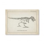 Tyrannosaurus Rex, fossilt skelett illustrerat, som representerar en förhistorisk köttätande dinosaurie, utställt i en gammal vetenskaplig platta.