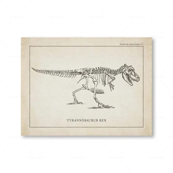 Tyrannosaurus Rex, fossilt skelett illustrerat, som representerar en förhistorisk köttätande dinosaurie, utställt i en gammal vetenskaplig platta.
