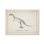 Illustration av en ceratosaurus Nasicornis, en förhistorisk dinosaurie, som visar dess detaljerade skelett i en vintage stil.