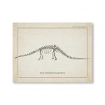 Skelett av Diplodocus carnegii illustrerat, som visar den kompletta benstrukturen av denna växtätande dinosaurie från jura.