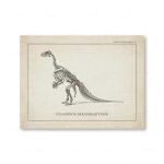 Illustration av skelettet av dinosaurien Iguanodon Bernissartensis, som visar dess fossila ben i stående position.