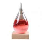 Vas i glas som innehåller en röd vätska, placerad på en träbas, perfekt för vetenskaplig eller pedagogisk inredning.