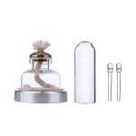 Transparent glasburk med lock, snöre inuti, perfekt för vetenskaplig eller laboratoriedekoration.