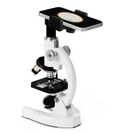 Laboratoriemikroskop med stöd för smartphone, idealiskt för vetenskaplig observation och undervisning, vilket möjliggör bildtagning via mobiltelefon.