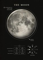 Månen, jordens naturliga satellit, illustrerad i en detaljerad infografik med sina faser och egenskaper.