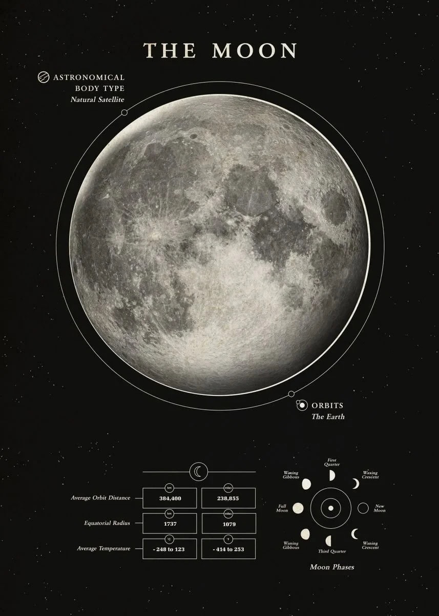 Månen, jordens naturliga satellit, illustrerad i en detaljerad infografik med sina faser och egenskaper.