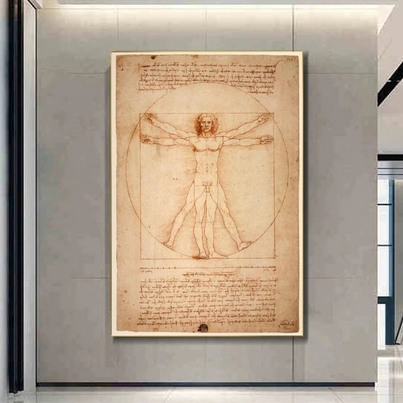 Illustration av Vitruviusmannen av Leonardo da Vinci, som visar de ideala proportionerna av den mänskliga kroppen i en gammaldags teckningsstil, utställd i ett modernt museum.