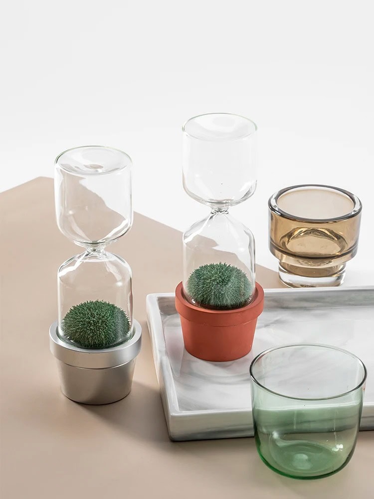Transparenta glasvaser med suckulenter i keramik- och glaskrukor, moderna dekorationer för hemmet eller kontoret.