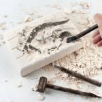 Dinosauriefossil i gips med pensel, utställt på en dammig yta, som illustrerar paleontologi och vetenskaplig upptäckte.