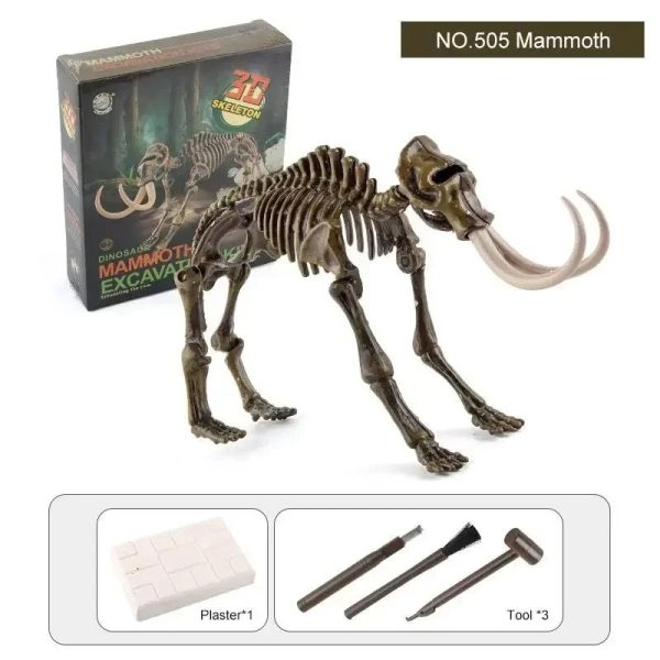 Mammut av ben, utbildningsmodell för vetenskaplig dekoration eller samling, med monteringsverktyg inkluderade. Perfekt för entusiaster av naturvetenskap och dinosaurier.