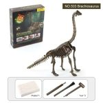 Reproduktion av Tyrannosaurus Rex-skelett för utbildnings- och lekfull aktivitet.