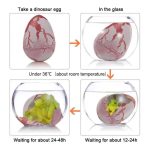 Illustration av ett dinosaurieägg som håller på att sönderdelas i ett glas vatten, som visar nedbrytningsprocessen vid olika temperaturer och väntetider.