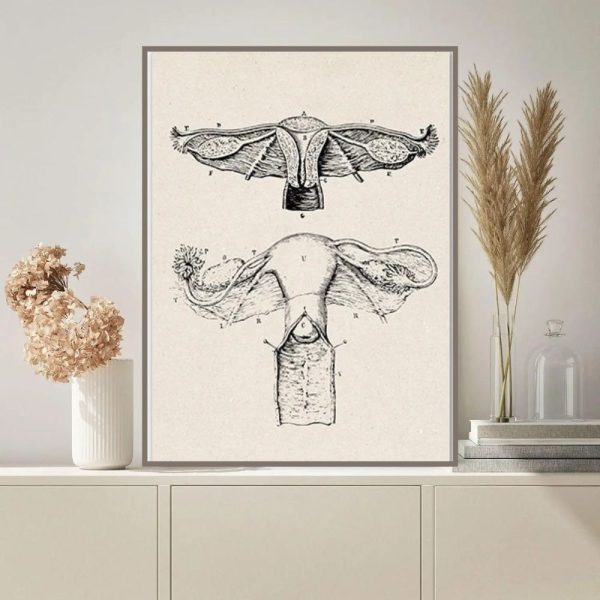 Anatomisk pictogram av fjäril och mal.