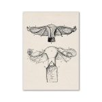 Gammal vetenskaplig illustration som visar insekter av ordningen Hymenoptera och Diptera, med precisa anatomiska detaljer, vintage-stil, teckning i svart och vitt.