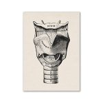 Detaljerad anatomisk illustration av sköldkörteln och endokrina körtlar, som visar deras position och interna struktur för vetenskaplig förståelse.