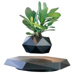 Grön växt i en svart geometrisk kruka, modern inredning för inomhus eller utomhus, som ger en naturlig och elegant touch till ditt utrymme.