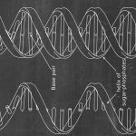 Vetenskaplig illustration av en DNA-dubbelhelix med baspar och socker-fosfathelix, som visar DNA:s molekylära struktur.