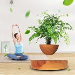 Kvinna som mediterar i yogaposition bredvid ett krukträd med syrebubblor, som symboliserar natur och välbefinnande.