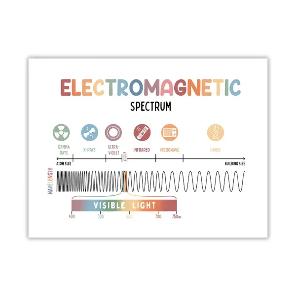 Illustration av det elektromagnetiska spektrumet som visar olika vågor, från gamma till radio, med det synliga ljuset i färg.
