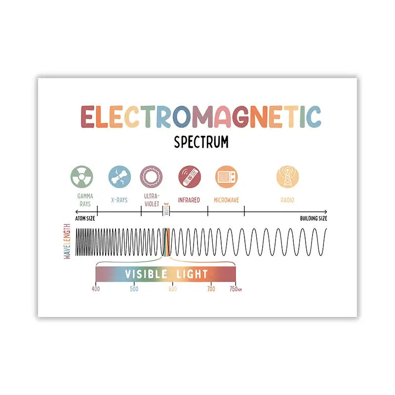 Illustration av det elektromagnetiska spektrumet som visar olika vågor, från gamma till radio, med det synliga ljuset i färg.