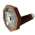 Botanisk dekoration i trä och glas med växter och naturliga element, idealisk för en vetenskaplig och dekorativ touch i ditt hem.