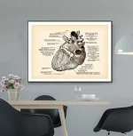 Detaljerad vetenskaplig illustration av det mänskliga hjärtat med anteckningar, som visar de olika delarna och deras funktion, idealisk för utbildnings- eller vetenskaplig dekoration.