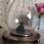 Transparent glasvas som innehåller en liten svart konstväxt, placerad på en träbas med svarta ben, dekorativ och vetenskaplig.