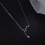 Delikat halsband med hängsmycke i form av en stjärnkonstellation, i silver, hängande i en fin kedja, placerat på en svart bakgrund med ett nättyg.