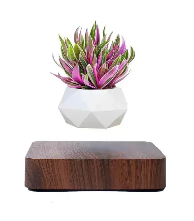 Blomkruka som svävar med magnetisk levitation med dekorativ växt.