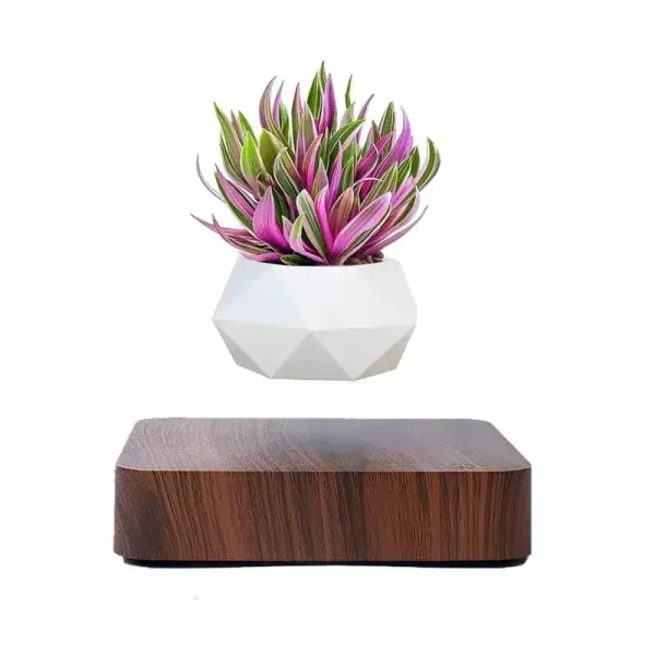 Blomkruka som svävar med magnetisk levitation med dekorativ växt.