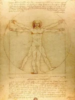 Teckning av Vitruviusmannen av Leonardo da Vinci som illustrerar de ideala proportionerna av den mänskliga kroppen i en kvadrat och en cirkel.