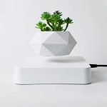 Modern geometrisk vas med gröna suckulenter, perfekt för vetenskaplig och elegant inredning.
