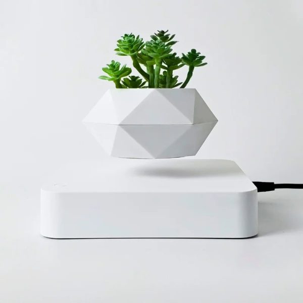 Modern geometrisk vas med gröna suckulenter, perfekt för vetenskaplig och elegant inredning.