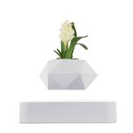 Vit geometrisk vas med vit blomma och gröna blad, modern och elegant dekoration.