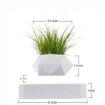 Liten grön växt i en vit geometrisk kruka, idealisk för inredning inomhus eller kontor, som ger en modern touch av natur.