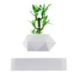 Modern skrivbordslampa i form av en grön växt med vit geometrisk bas, idealisk för vetenskaplig eller samtida dekoration.
