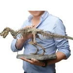 Modell av Tyrannosaurus rex skelett för vetenskaplig eller utbildande inredning, presenterad av en samlare eller ett museum.