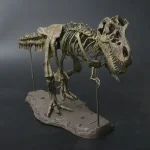 Modell av T-Rex skelett i resin, detaljerad och realistisk, perfekt för vetenskaplig eller utbildande inredning.