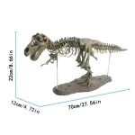 Representation av ett T-Rex skelett i fossila ben, mäter 70 cm lång, 22 cm hög och 12 cm bred, idealisk för vetenskaplig inredning.