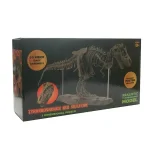 T-Rex skelettpussel för samling och vetenskaplig inredning.