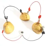 Potatis kopplad till elektriska kablar med klämmor, som illustrerar ett vetenskapligt experiment eller en originell dekoration inspirerad av vetenskap.