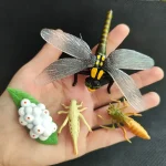 Plastinsektmodell med genomskinliga vingar, färgg kropp och realistiska detaljer, idealisk för lärande och vetenskaplig dekoration.