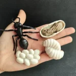 Vetenskaplig modell av en miniatyr svart skorpion med myrornas ägg och ett öppet ägg som visar larven, perfekt för utbildnings- eller vetenskaplig dekoration.