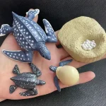 Miniatyrfigurer av marina djur och fossiler för vetenskaplig dekoration.