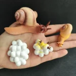Samling av plast- och gummifigurer av sniglar, som representerar olika arter med realistiska detaljer och varierande färger, perfekta för vetenskaplig eller utbildningsdekoration.