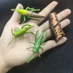 Dekorationstillbehör i form av insekter och naturliga varelser. Idealisk för en originell dekoration eller en present till vetenskaps- och naturentusiaster.