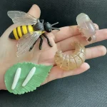 Vetenskaplig modell av en bi, larver och insekter för utbildning och dekoration.