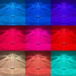 Transparent glasvas upplyst av LED i olika färger, som skapar en färgglad och dekorativ ljuseffekt. Perfekt för inredning eller evenemang.